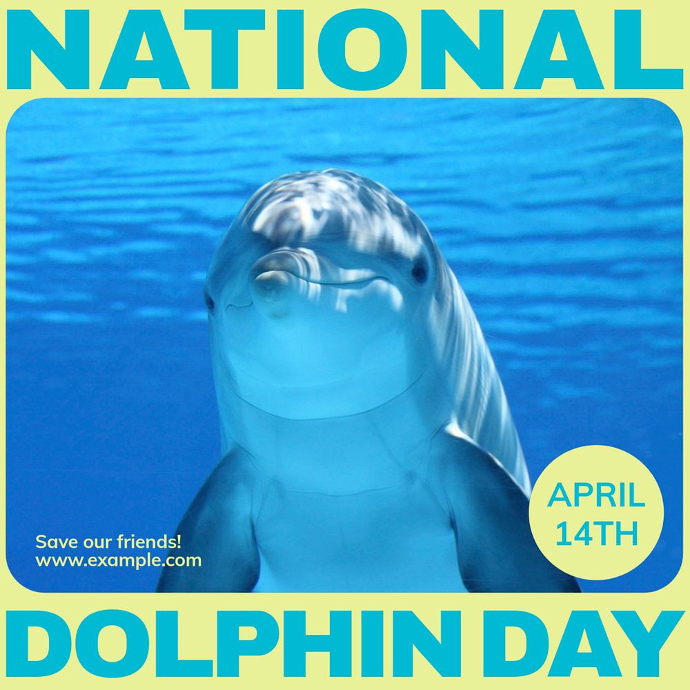 National dolphin day Facebook post template, editable social media ad