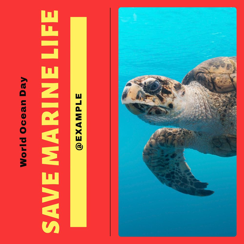 Turtle endangered ocean environment Facebook post template, editable social media ad