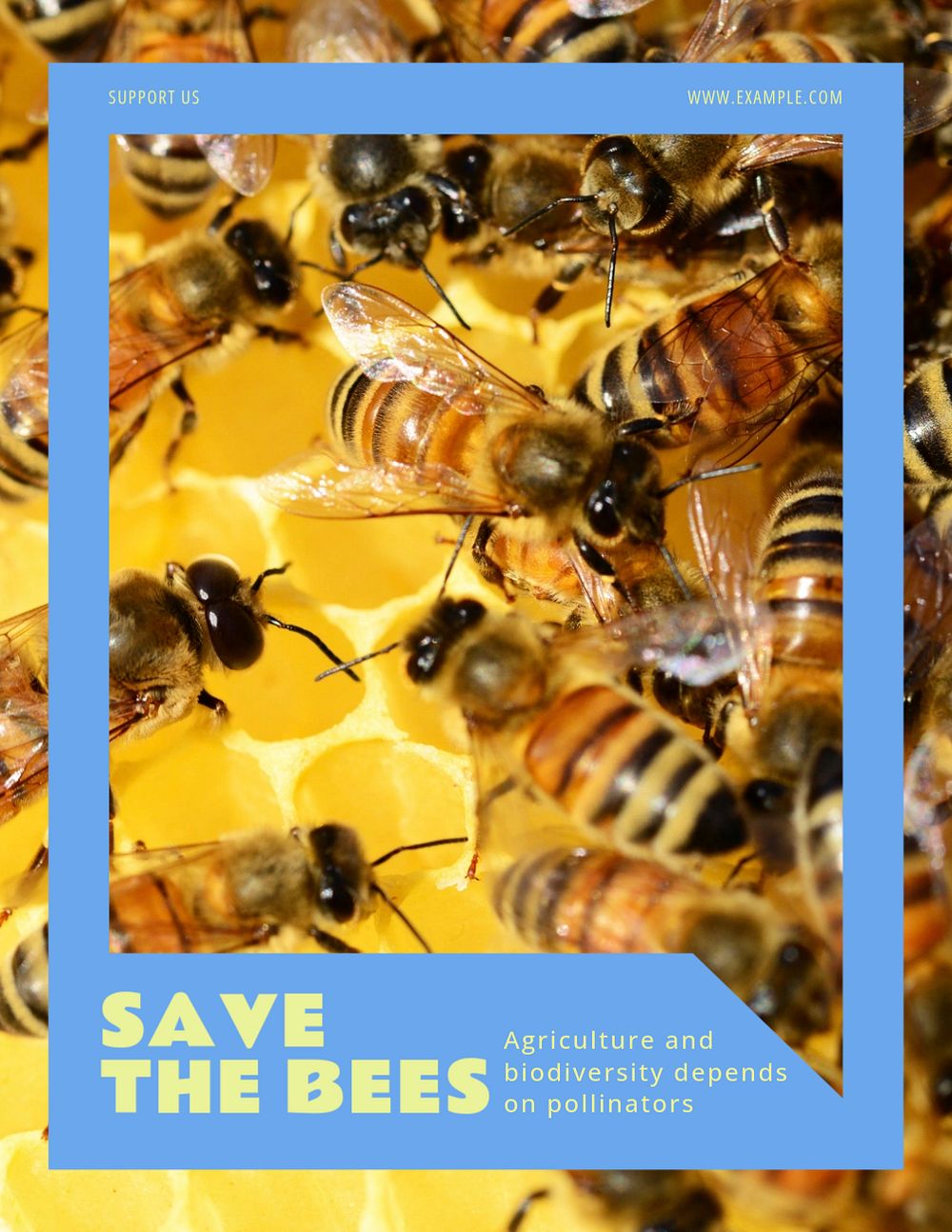 Save the Bees flyer template, editable ad