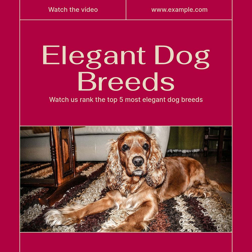 Elegant dog breeds Facebook post template, editable social media ad