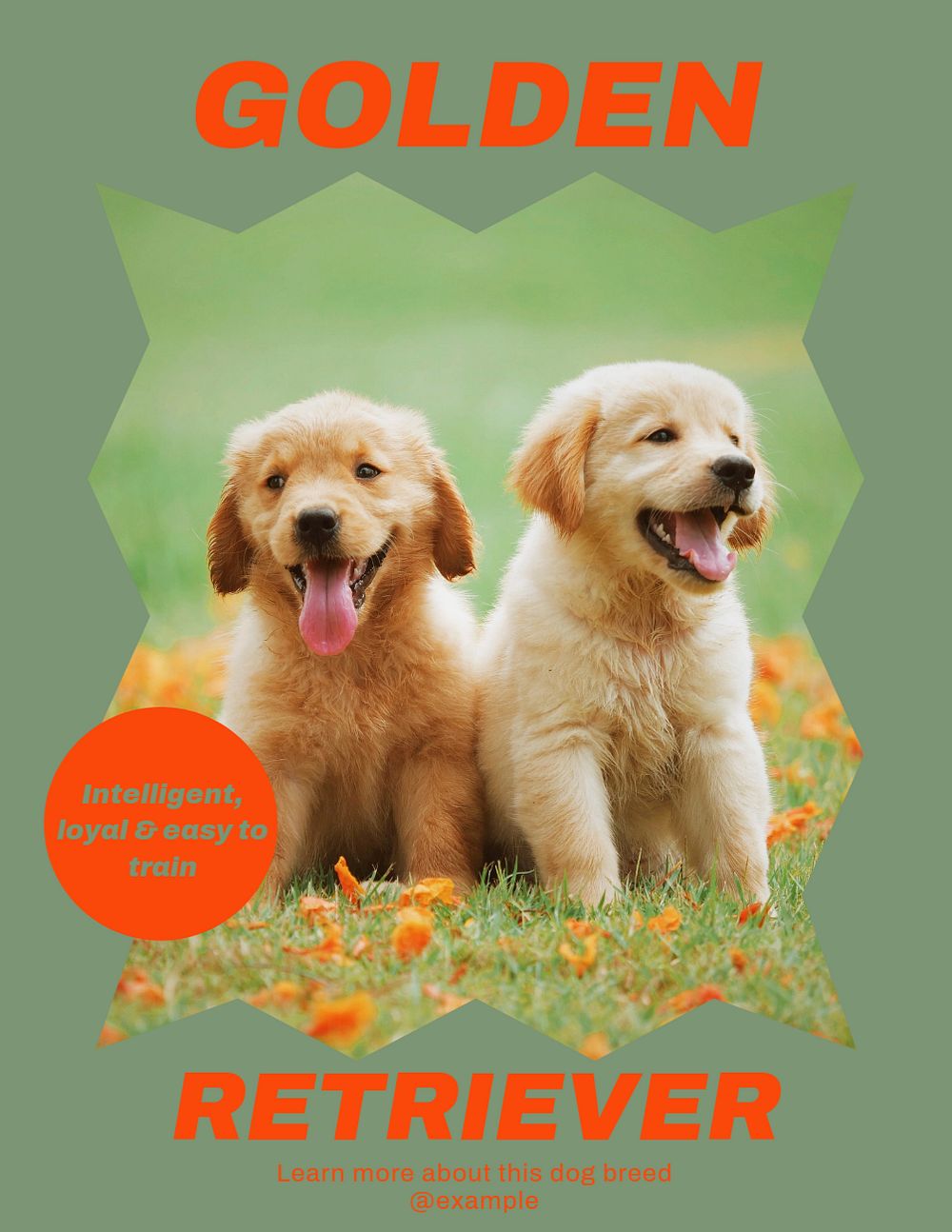 Golden retriever flyer template, editable ad