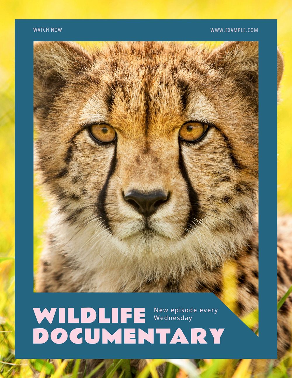 Wildlife documentary flyer template, editable ad