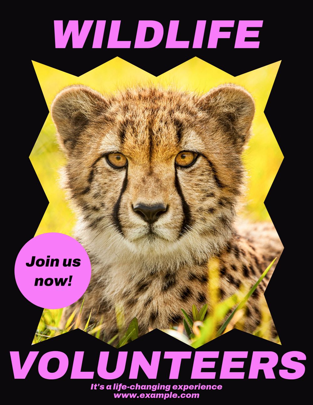 Wildlife volunteers flyer template, editable ad