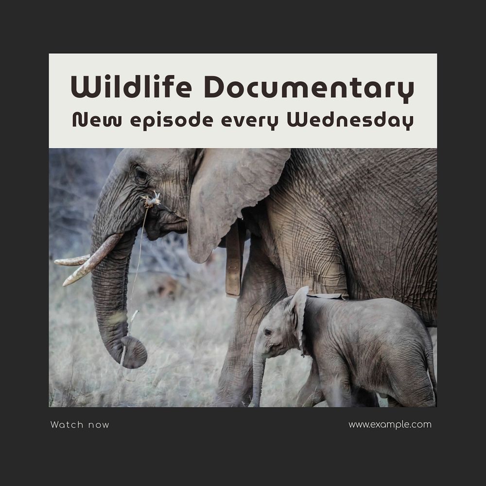 Wildlife documentary Facebook post template, editable social media ad