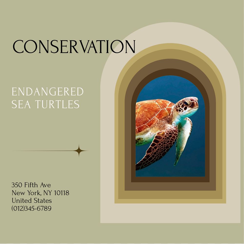 Endangered sea turtles Facebook post template, editable social media ad