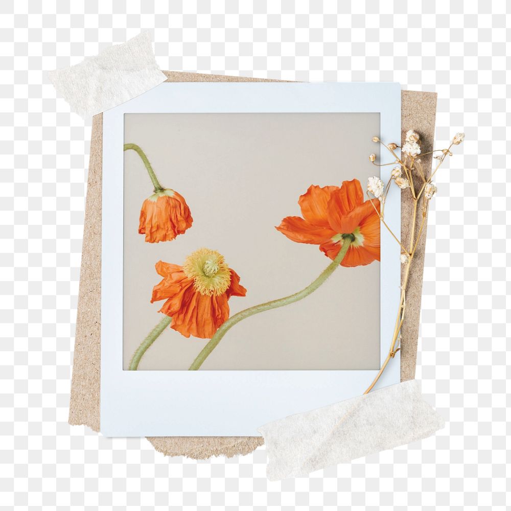 PNG Instant film frame mockup element, orange flower transparent background