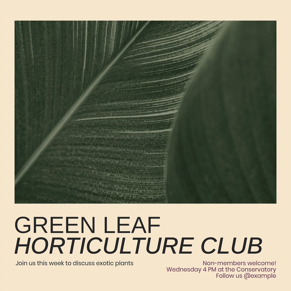 Green leaf club Facebook post template, editable social media ad