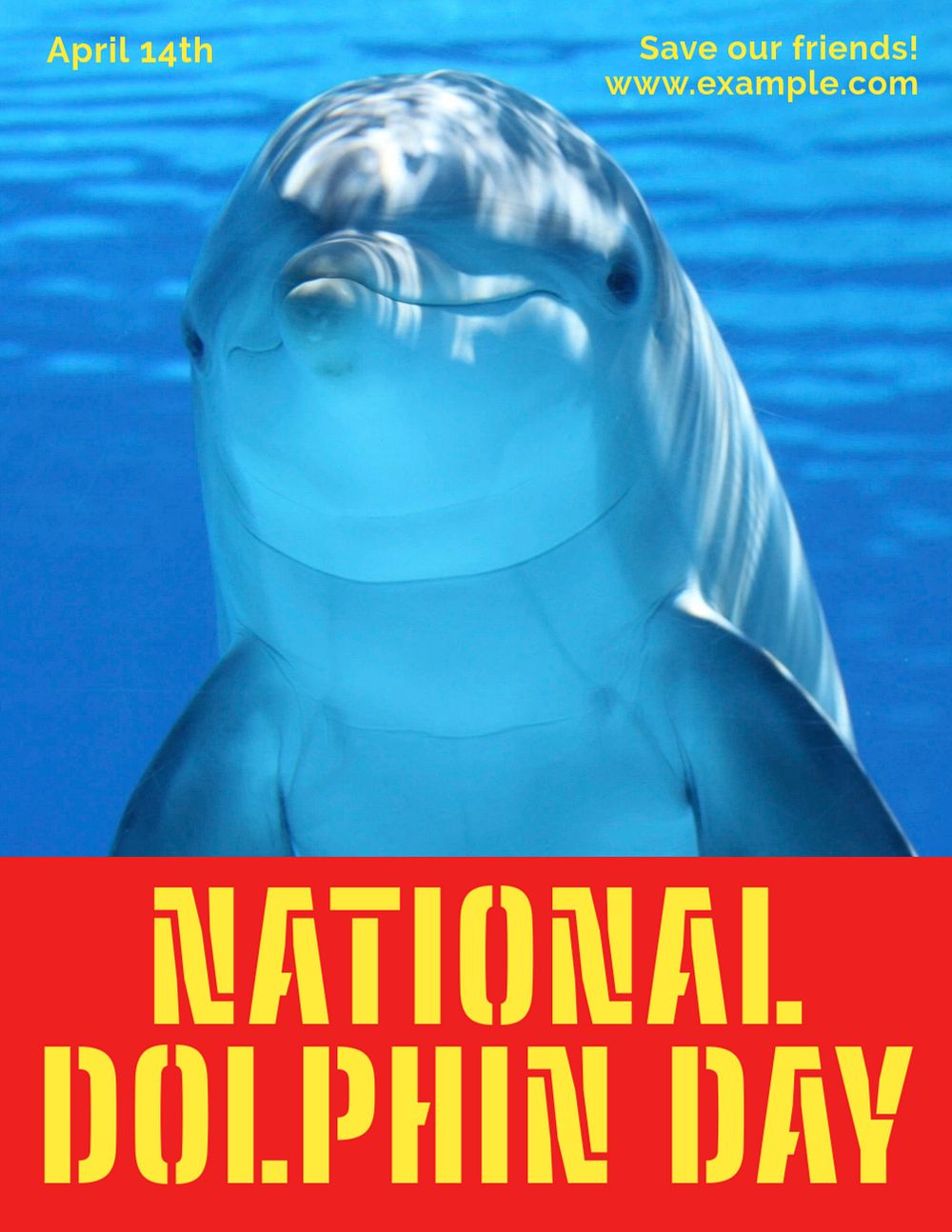 National dolphin day flyer template, editable ad