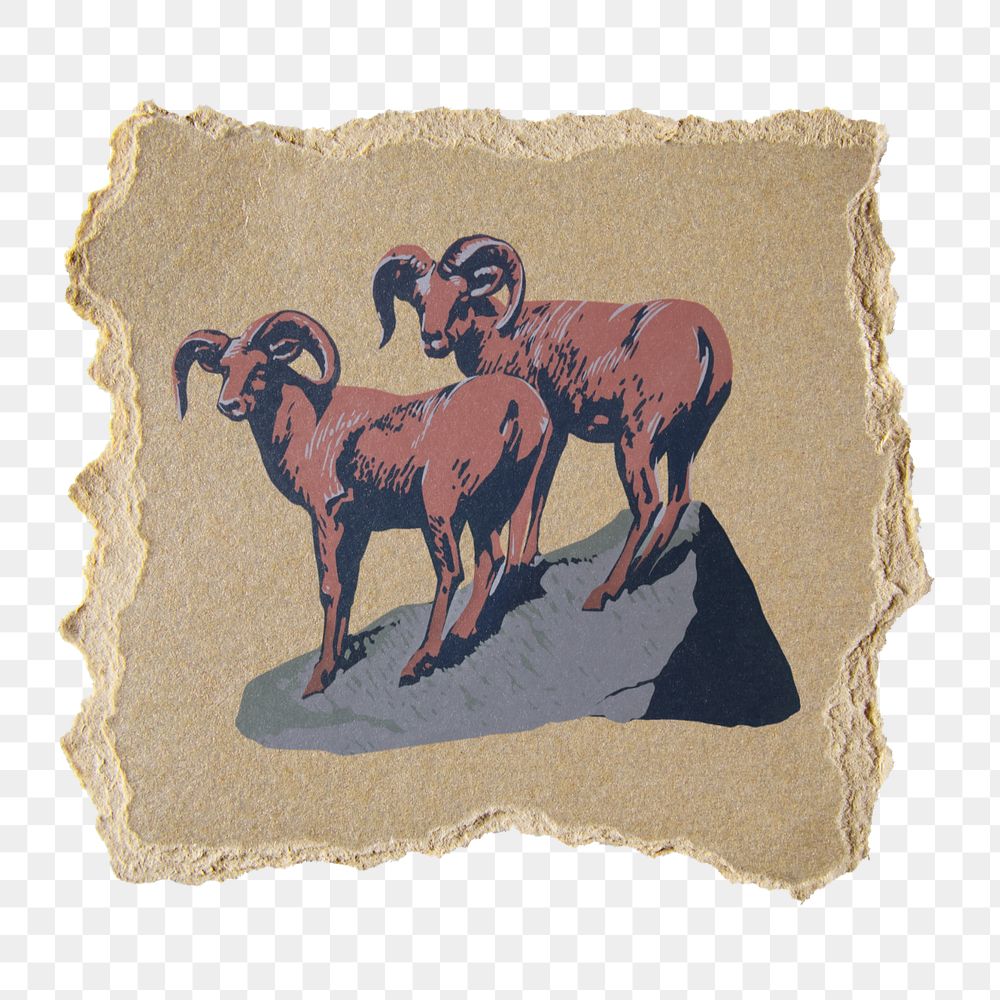 PNG ripped paper mockup element, bighorn sheep illustration, transparent background. Remixed by rawpixel.