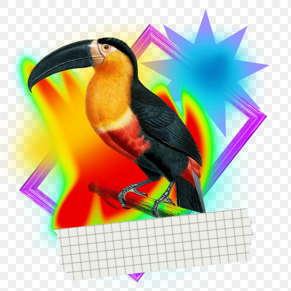 Toucan bird png element, colorful gradient shape tape, editable design