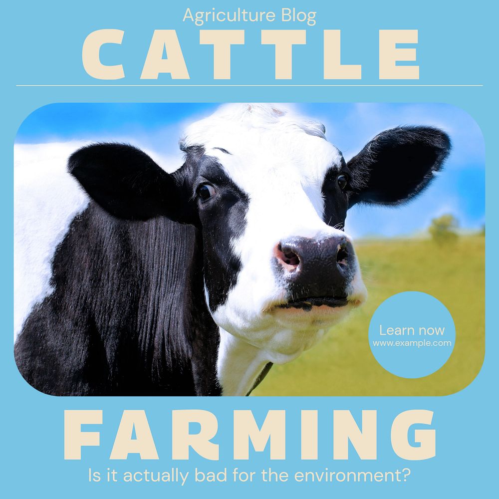 Cattle farming Instagram post template, editable design