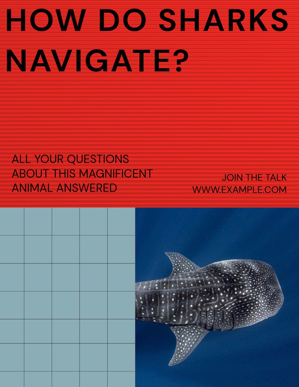 Questions about sharks flyer template, editable text