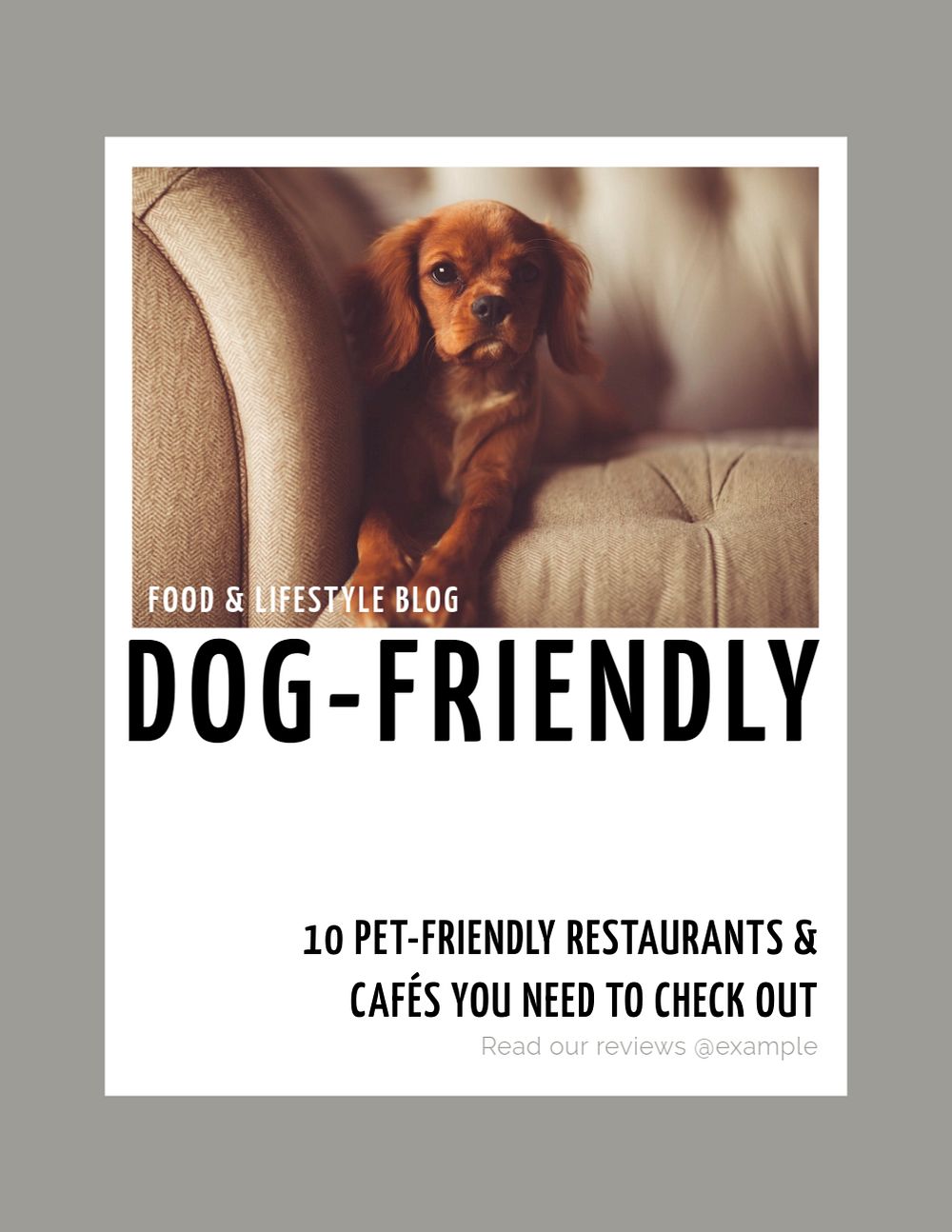 Dog & pet-friendly restaurants flyer template, editable text