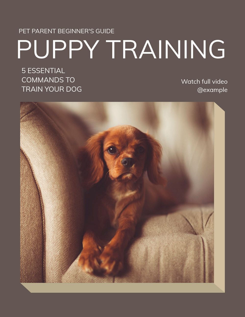 Dog training flyer template, editable text