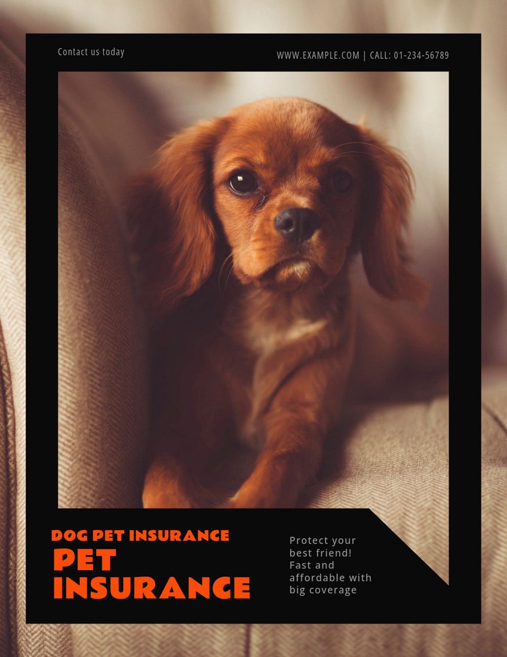 Pet insurance flyer template, editable text