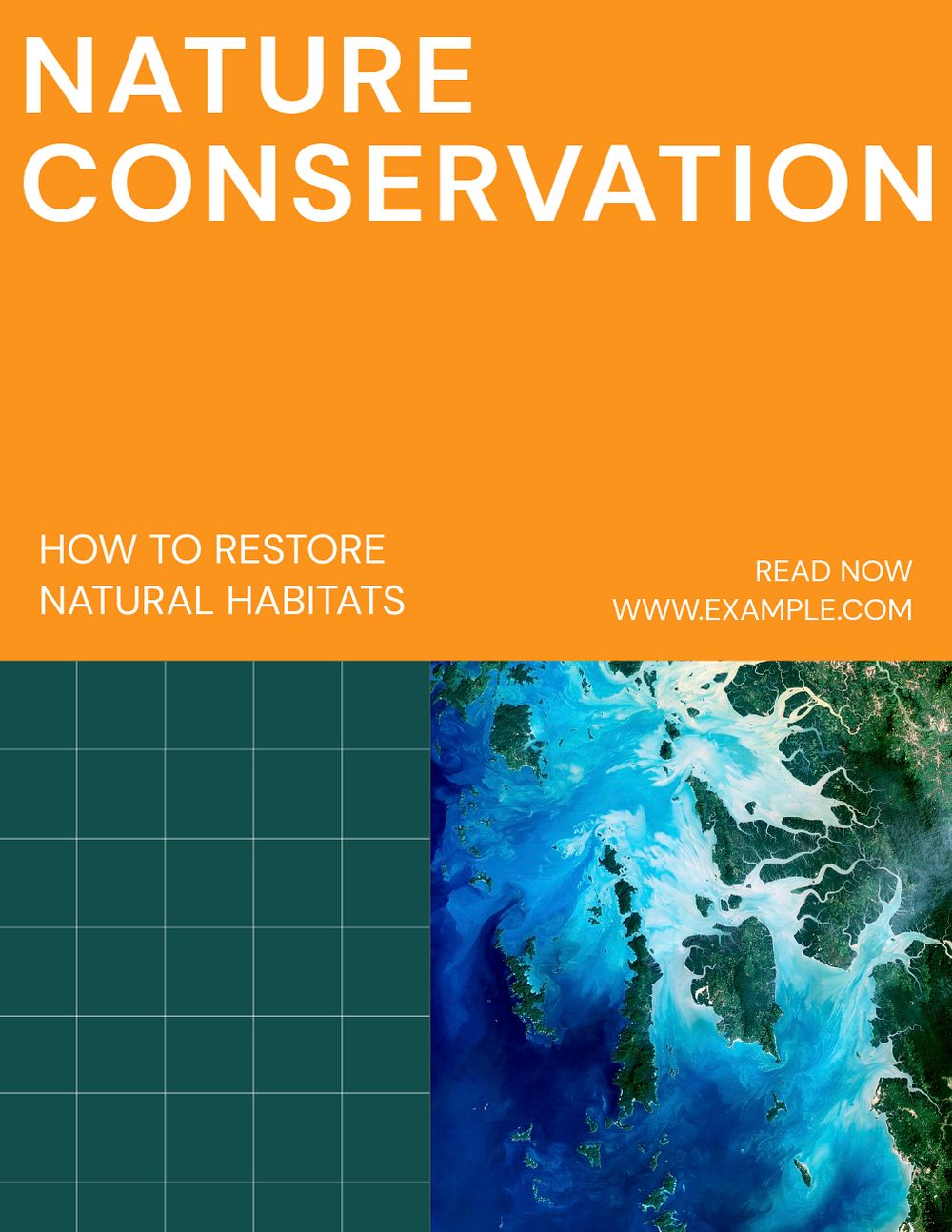 Nature conservation flyer template, editable text
