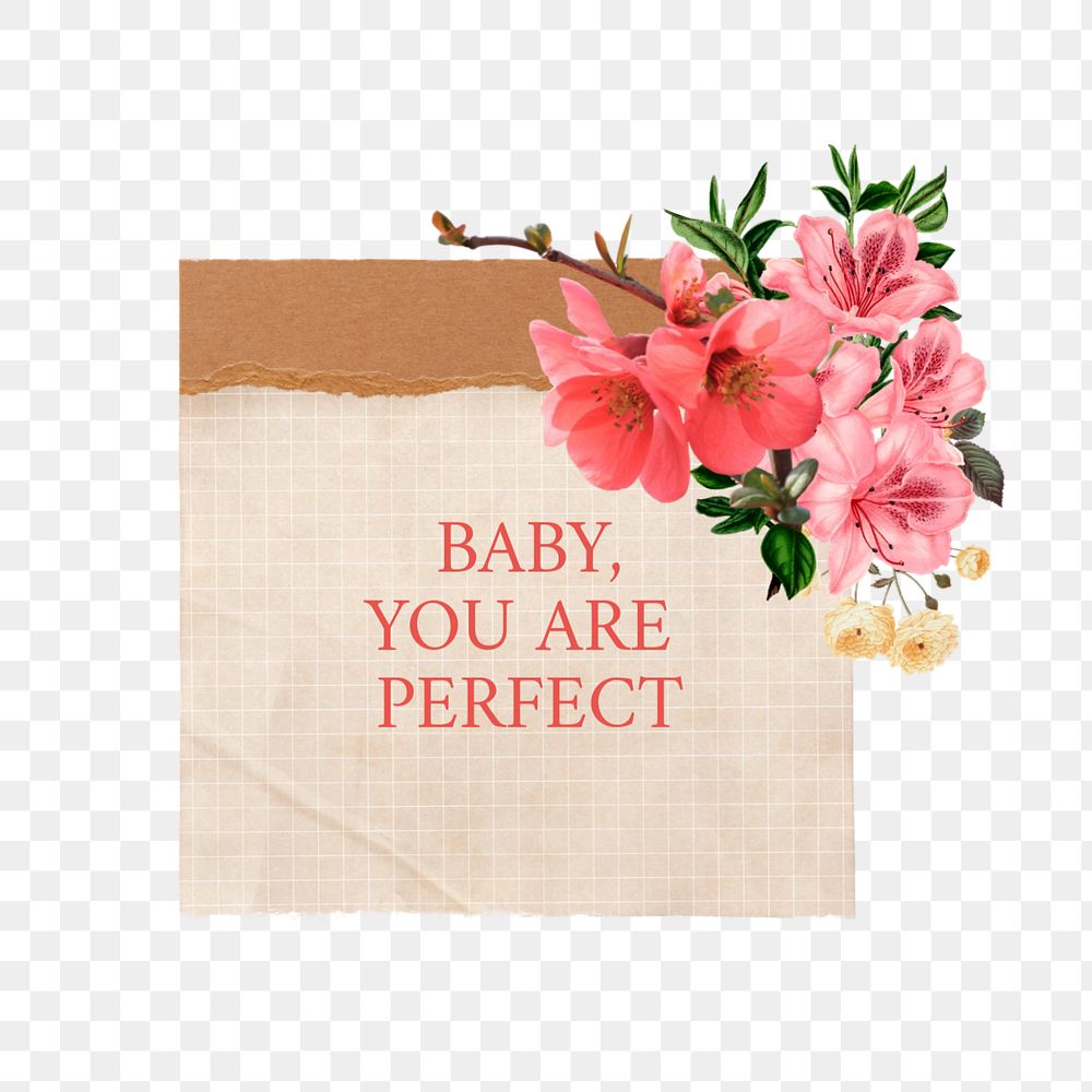 You are perfect png quote, aesthetic flower collage art, editable design