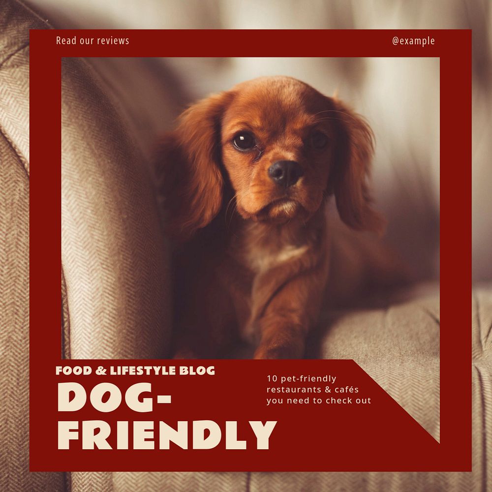 Dog & pet-friendly restaurants Instagram post template, editable design