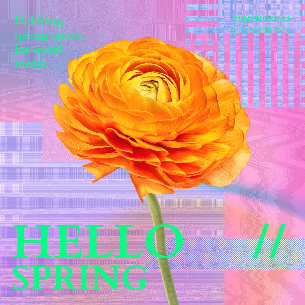 Hello spring Instagram post template, editable text