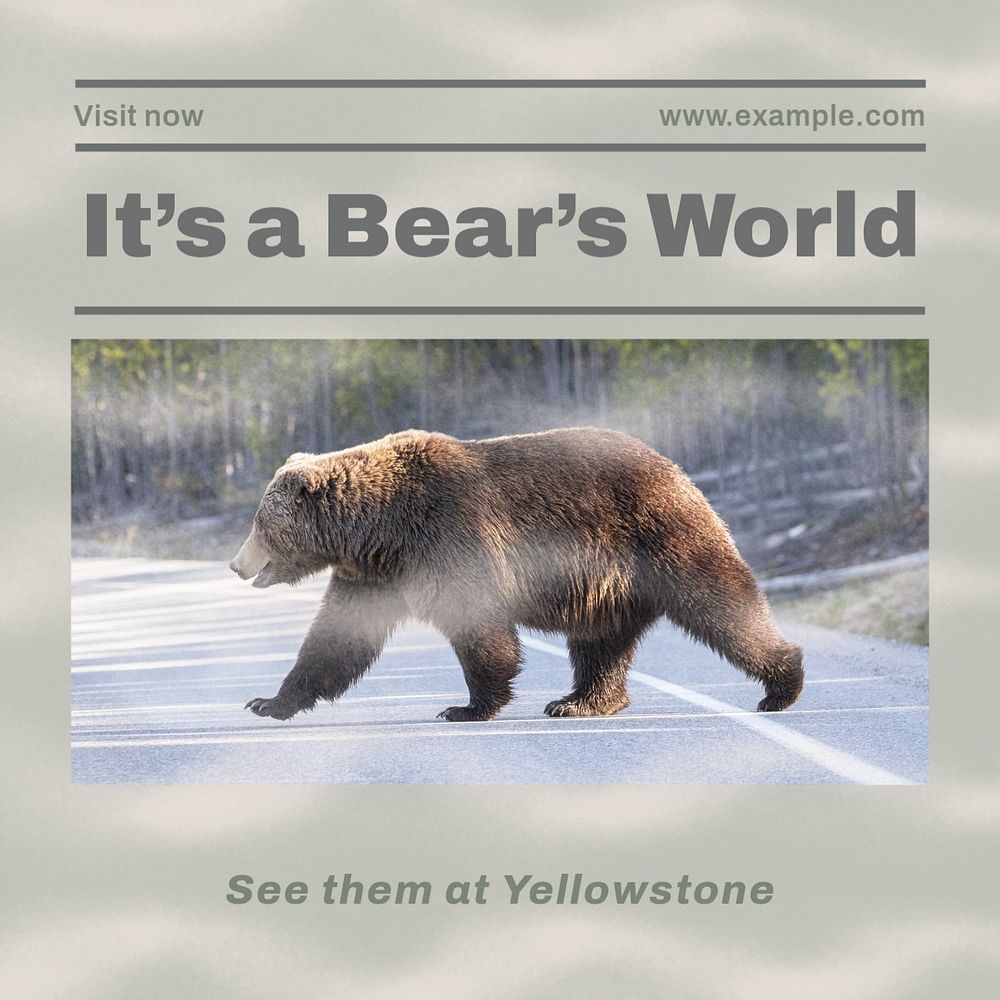 Bears at Yellowstone Instagram post template, editable design