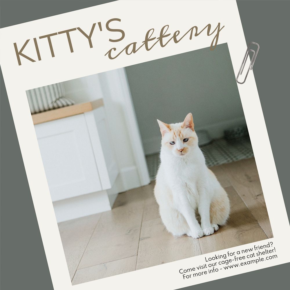 Cattery & shelter Instagram post template, editable text