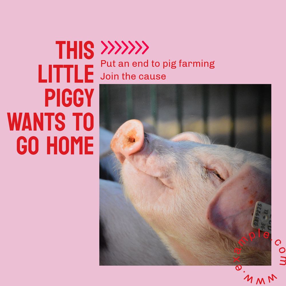 Pig farming Instagram post template, editable design