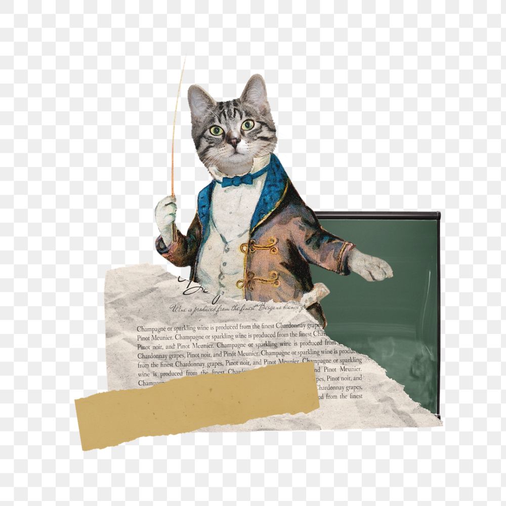 Cat dressed as teacher png, education editable collage. Remixed by rawpixel.