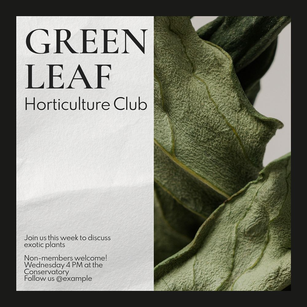 Green leaf club Instagram post template, editable text