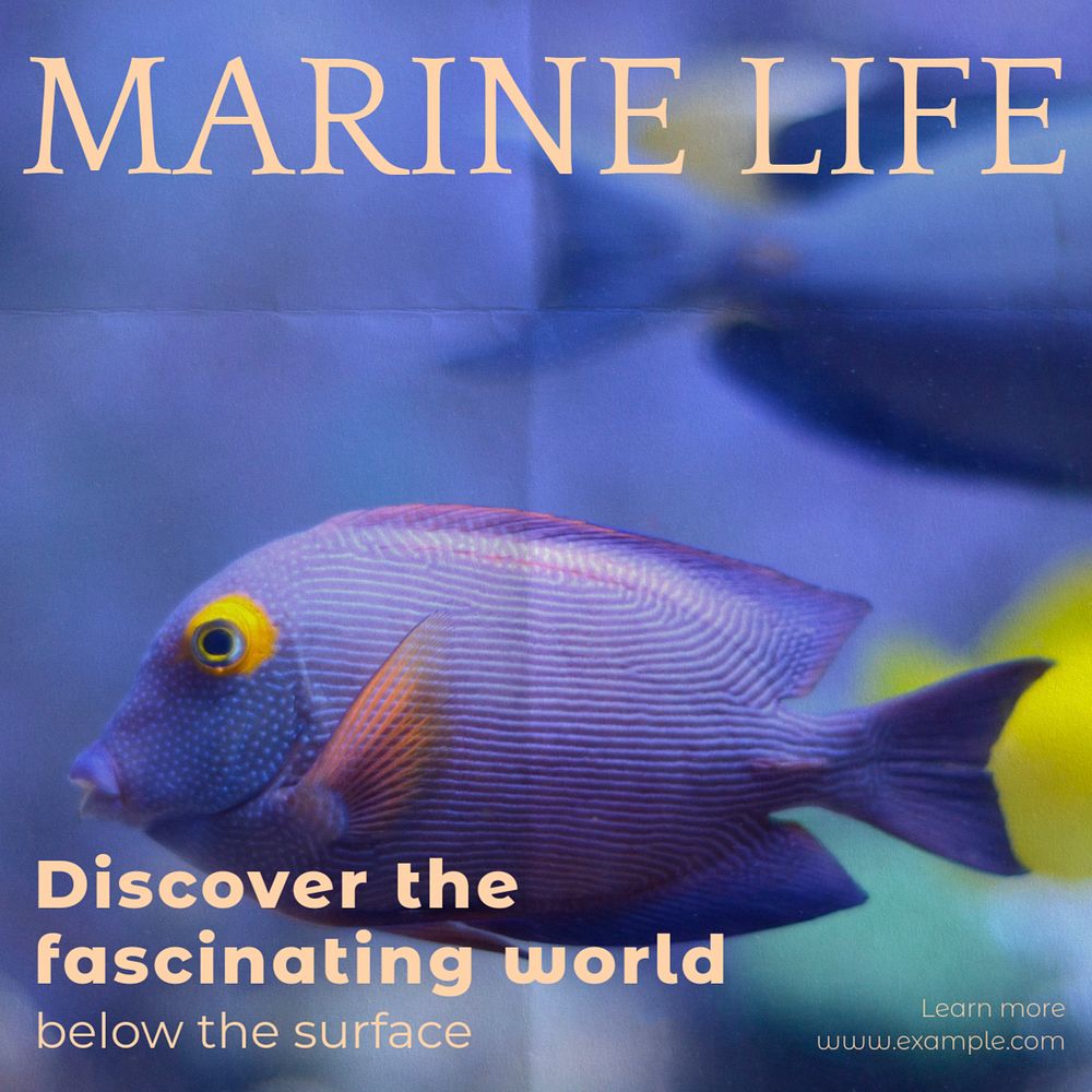 Marine life Instagram post template, editable text