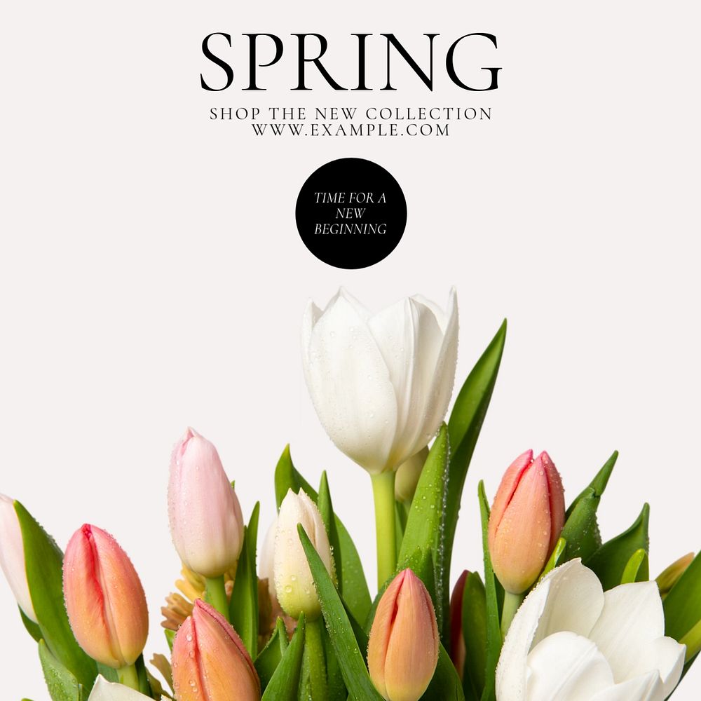 Spring collection  Instagram post template, editable text