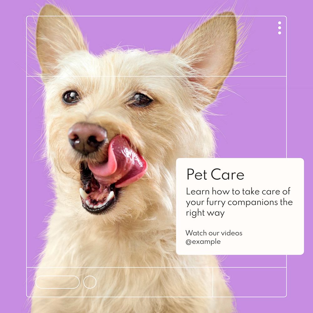 Pet care tutorials Instagram post template, editable text