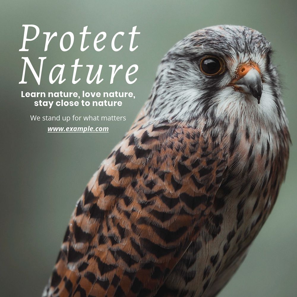 Protect nature Instagram post template, editable text