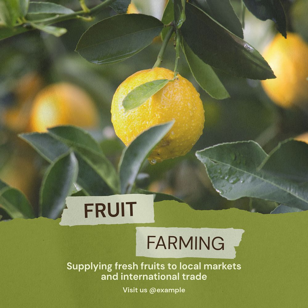 Fruit farming Instagram post template, editable text