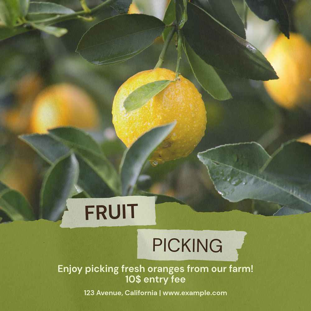 Fruit picking Instagram post template, editable text