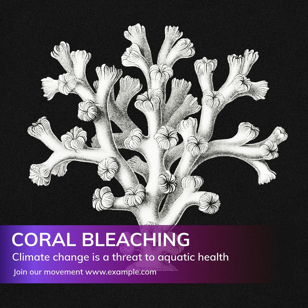 Coral bleaching Instagram post template, editable text