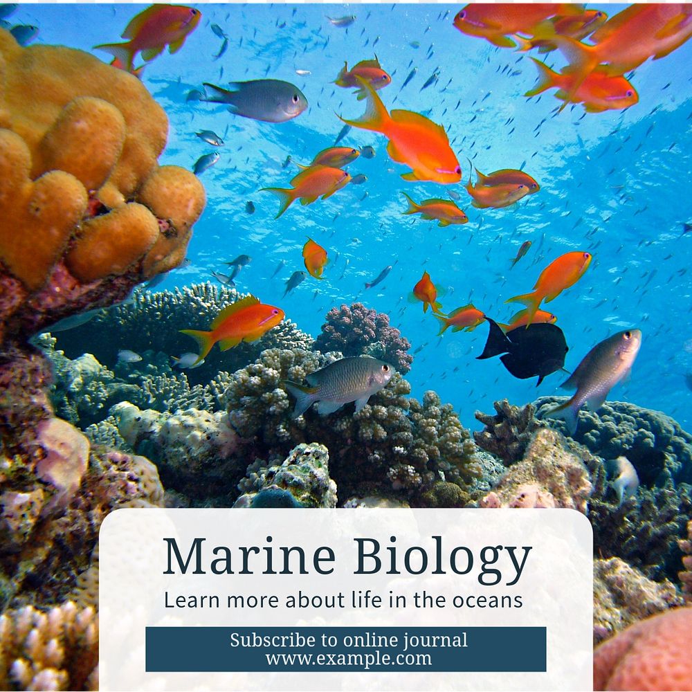 Marine biology Instagram post template, editable text