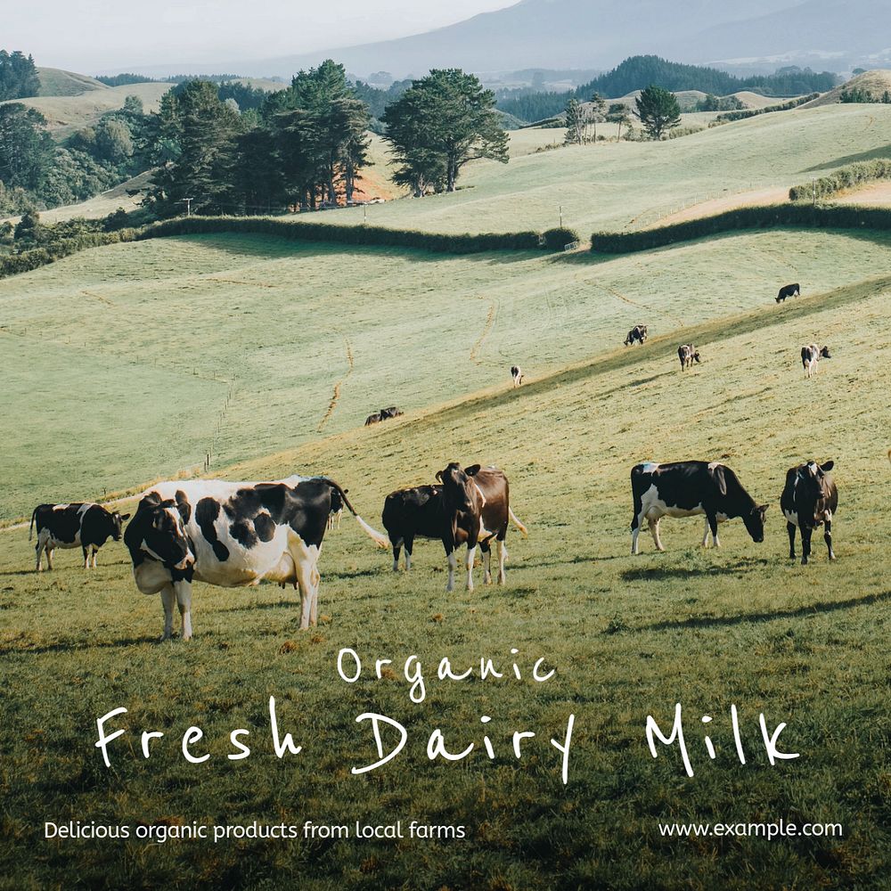 Dairy milk  Instagram post template, editable text