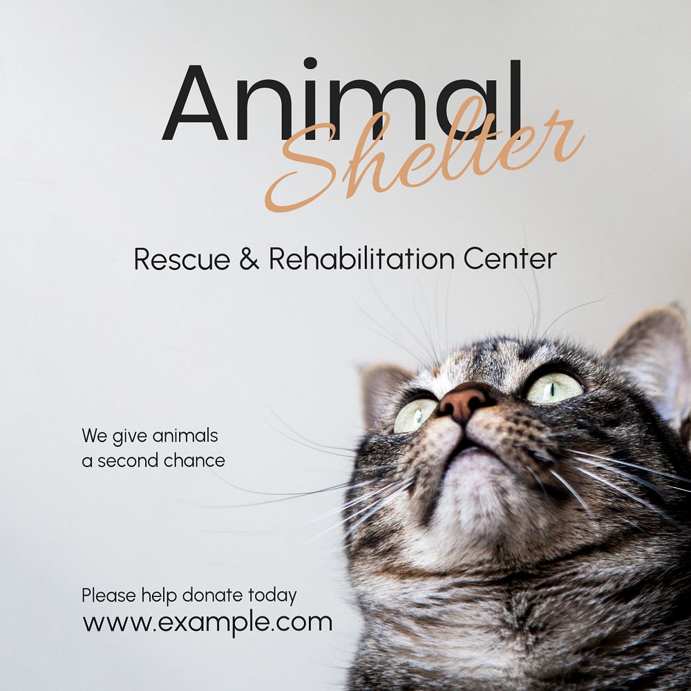 Animal shelter Instagram post template, editable text