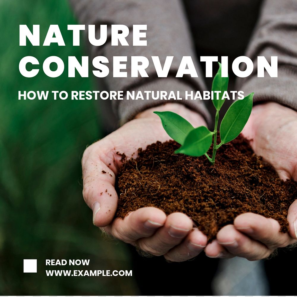 Nature conservation  Instagram post template, editable text