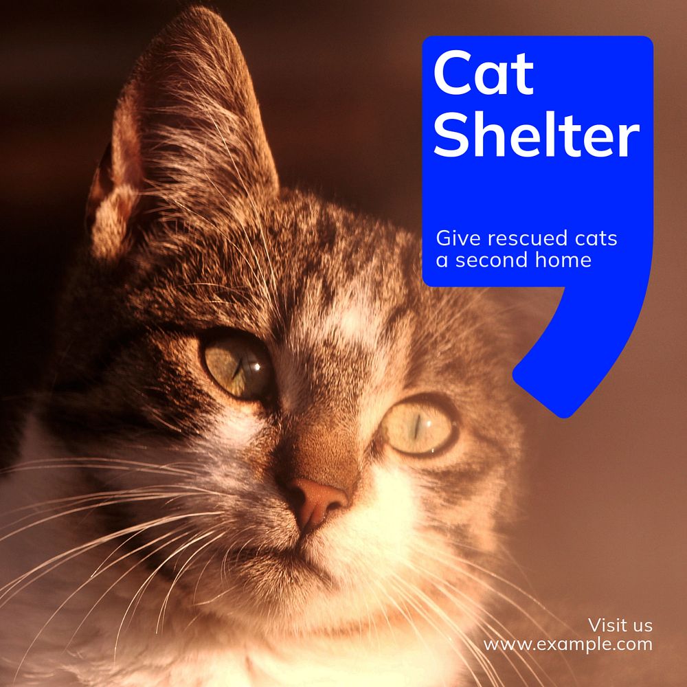 Cat shelter Instagram post template, editable text