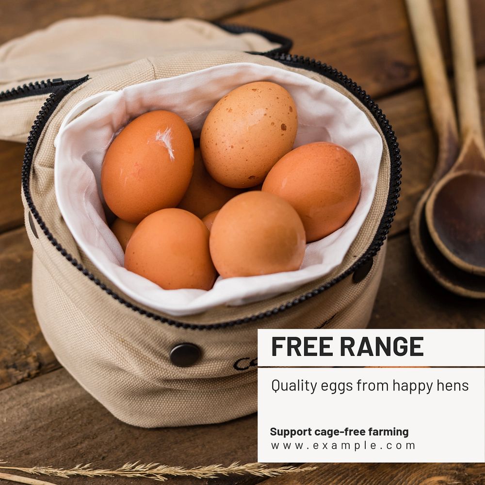 Free range Instagram post template, editable text