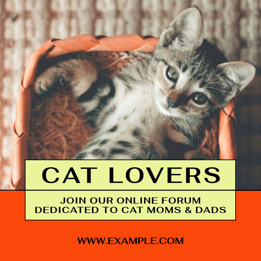 Cat lover Instagram post template, editable text