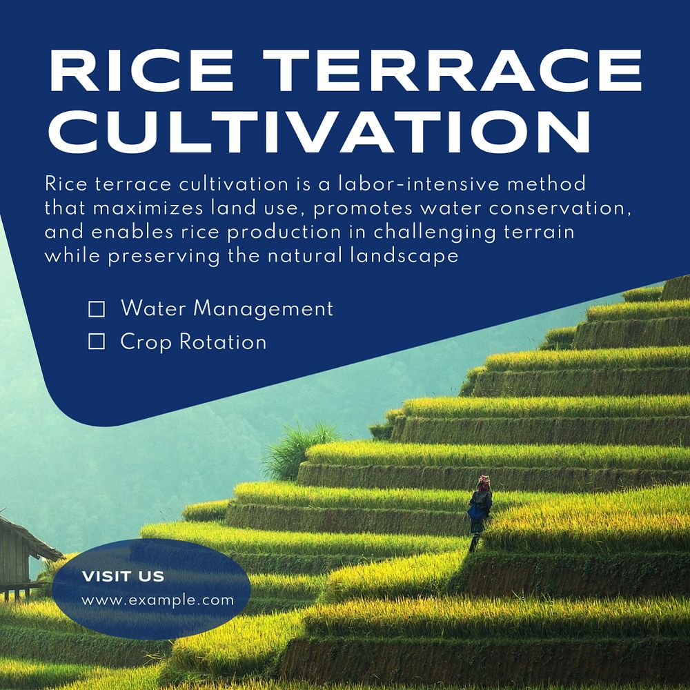 Rice terrace Instagram post template, editable text