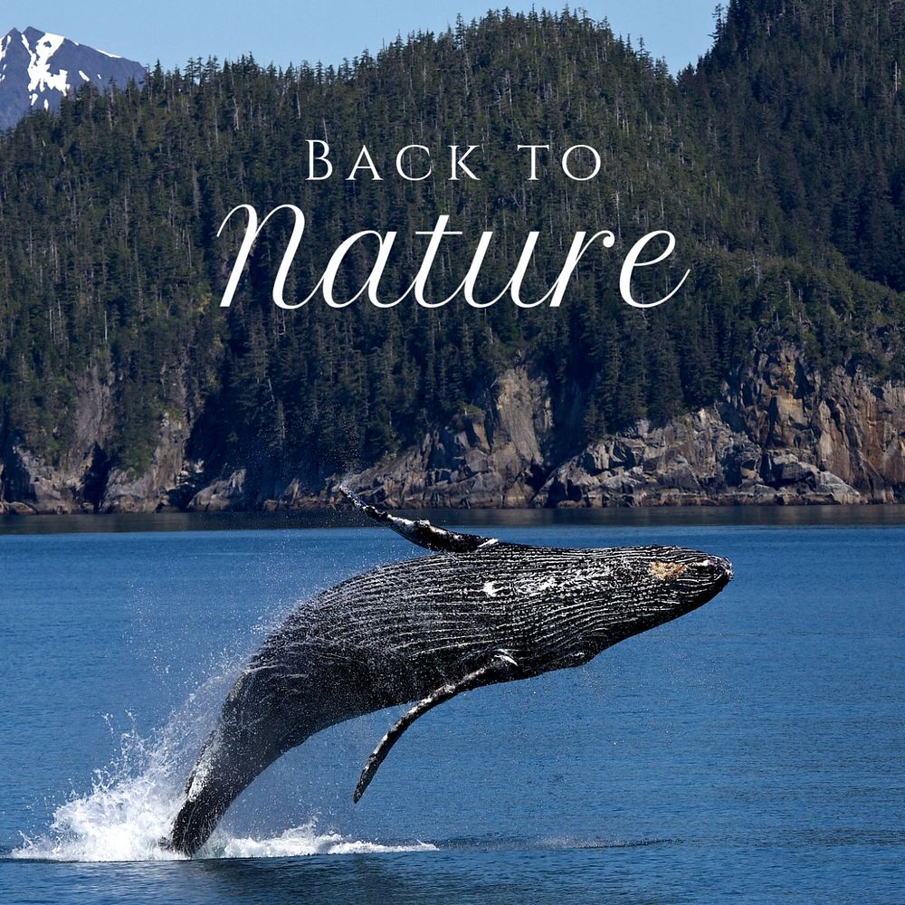 Back to nature Instagram post template, editable text