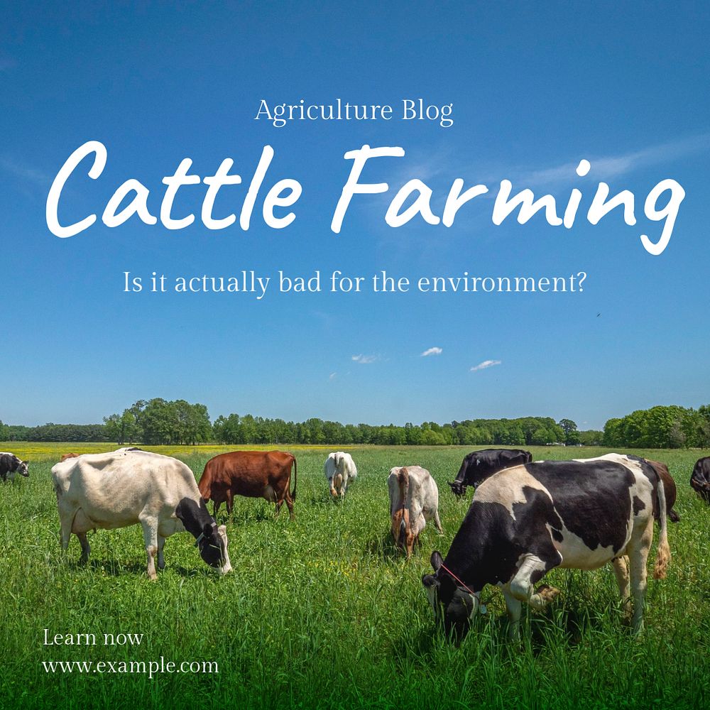 Cattle farming Instagram post template, editable text