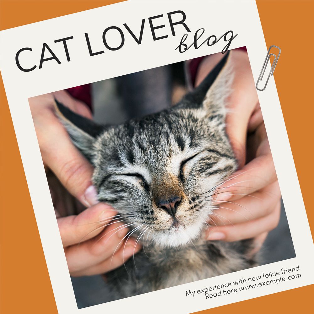 Cat lover Instagram post template, editable text