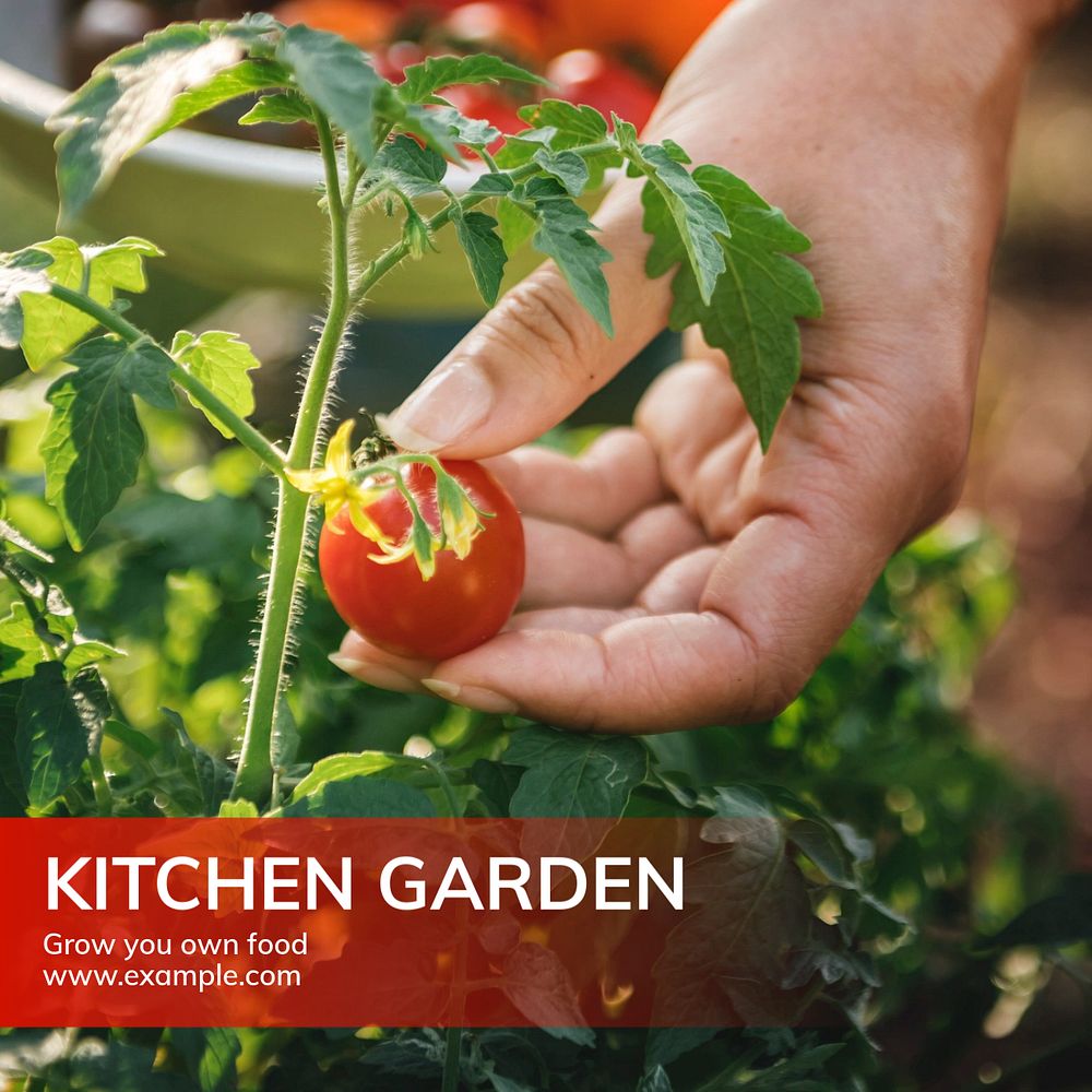 Kitchen garden Instagram post template, editable text