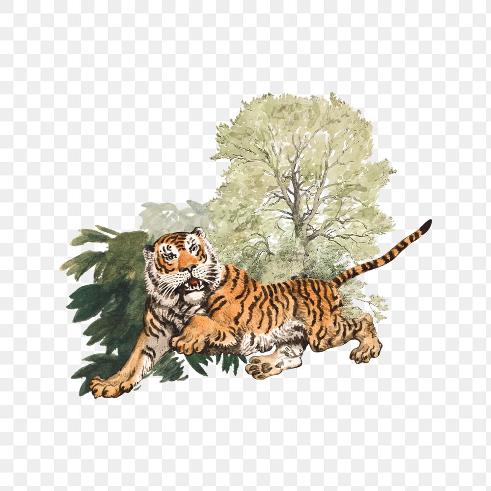 Watercolor tiger png element, editable remix design