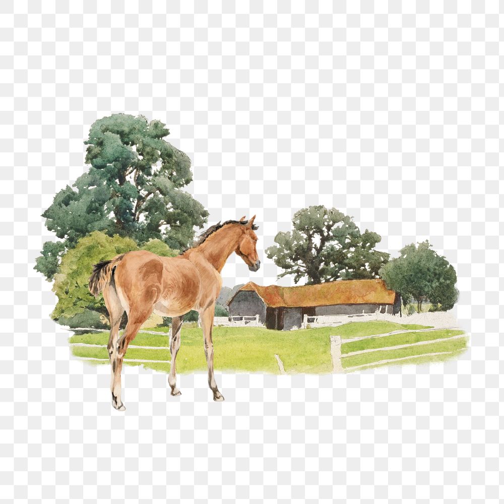 Horse watercolor png element, editable remix design