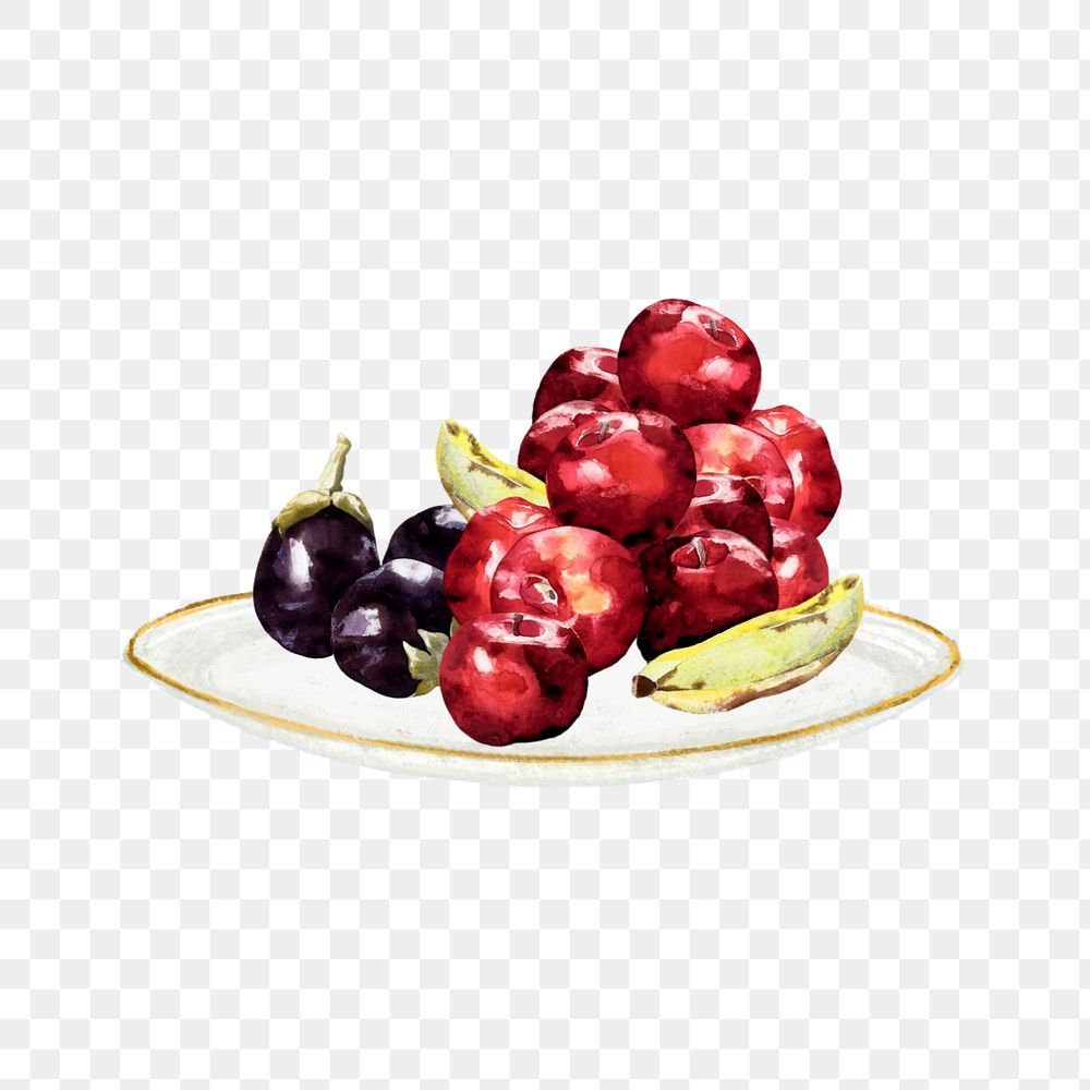 Watercolor fruits png element, editable remix design